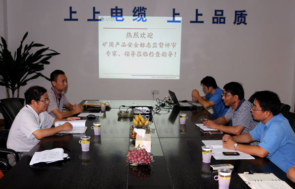 江蘇上上電纜集團順利通過安標現場監(jiān)督評審