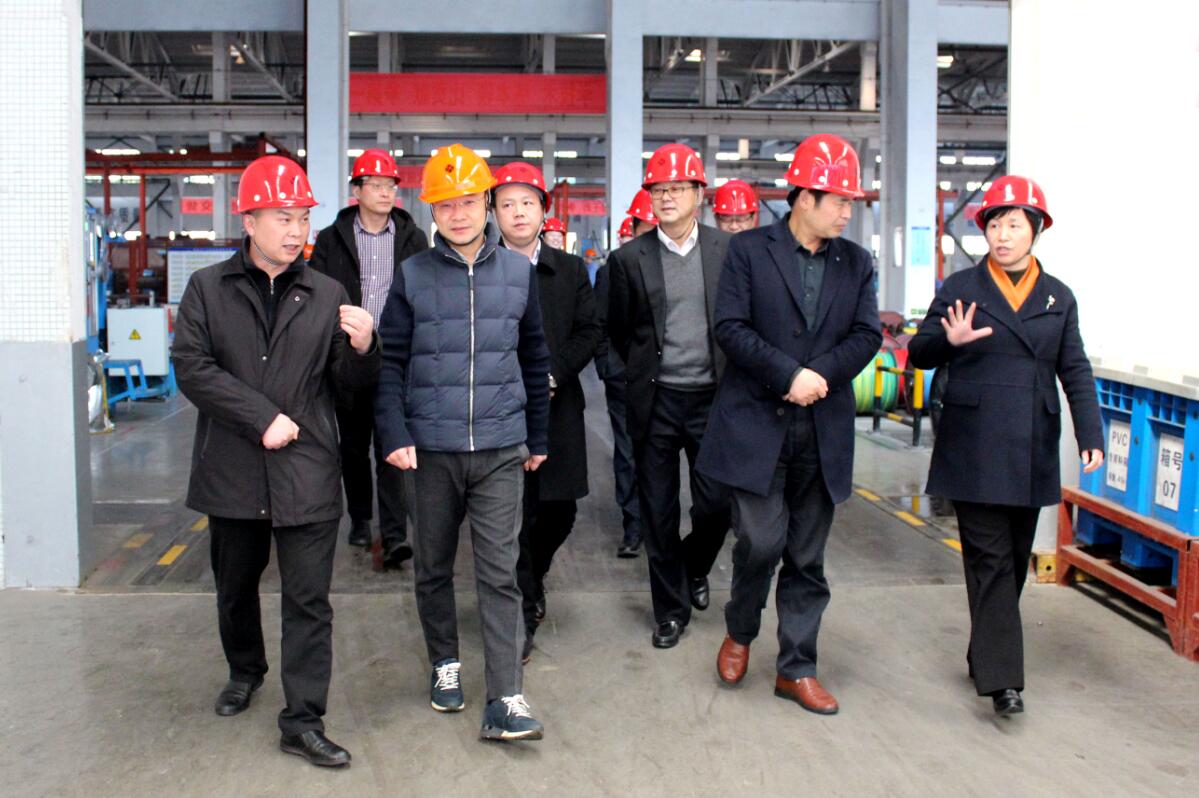 2019年3月7日，廣安市岳池縣考察團來上上電纜參觀考察